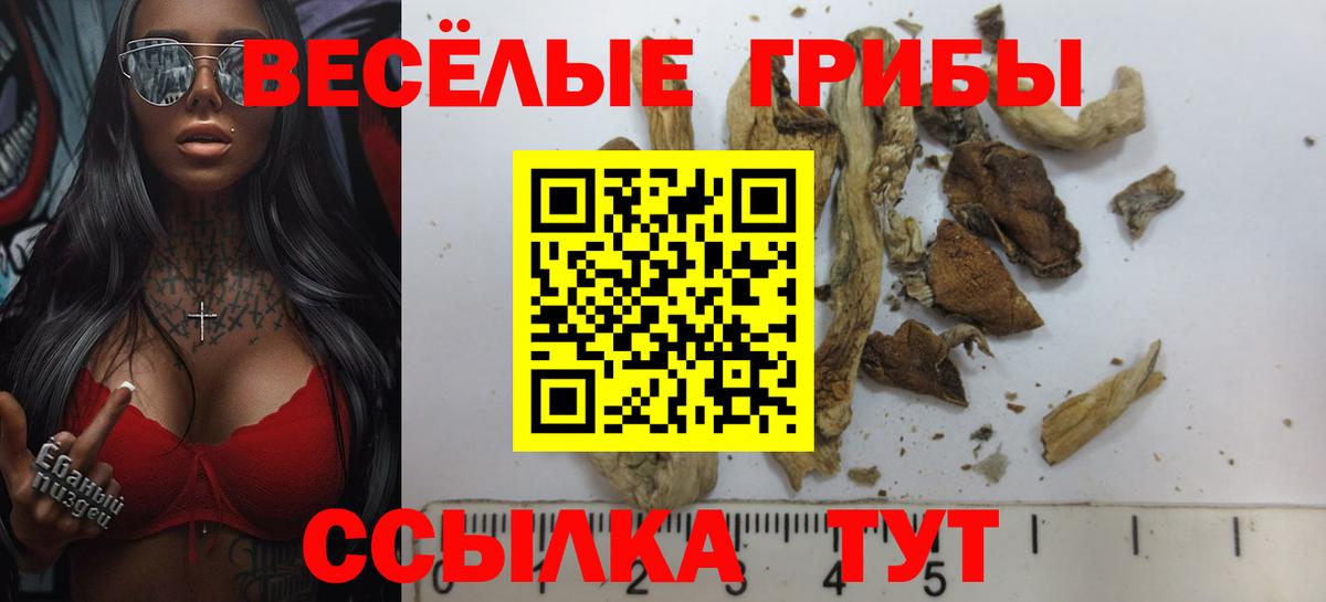 Галлюциногенные грибы мицелий Долгопрудный