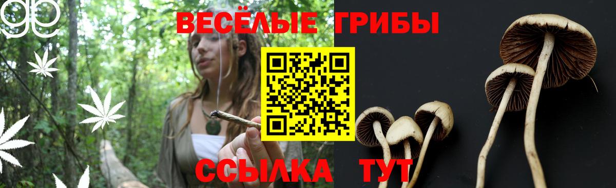 Долгопрудный  Псилоцибиновые грибы ЛСД  Галлюциногенные грибы прущие грибы  Вход с VPN 