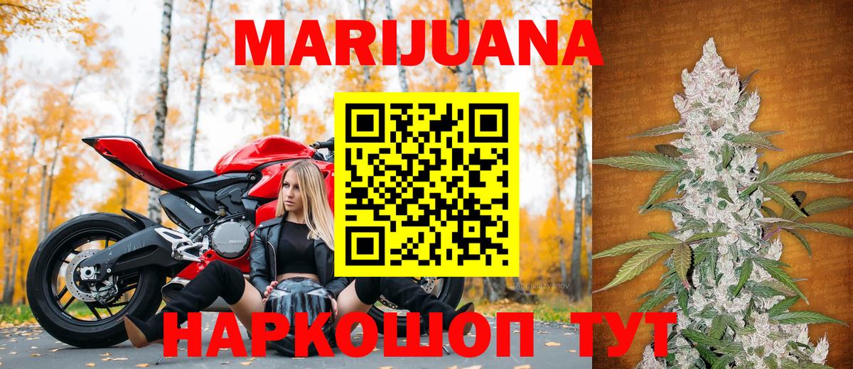 Канабис сатива Долгопрудный